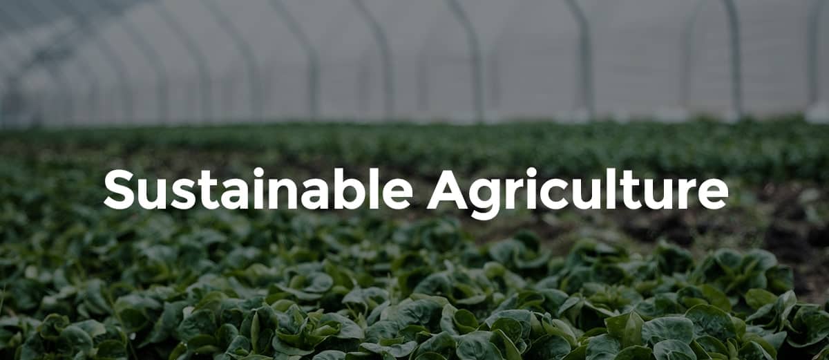 CategoryTile_Sustainable-Agriculture – Food Tank