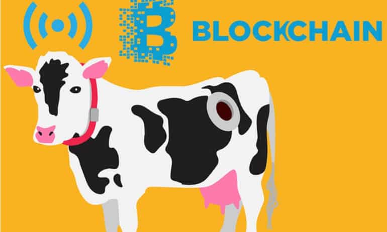 From tracking farming processes to bringing more transparency to the food chain, this series of articles will take you through the blockchain systems in food.