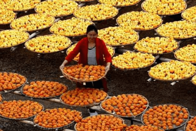 foodtank-media
