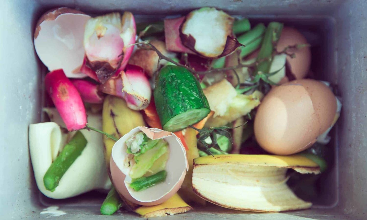 On April 18, 2018 the European Union passed the first ever European-wide legislation on food waste.