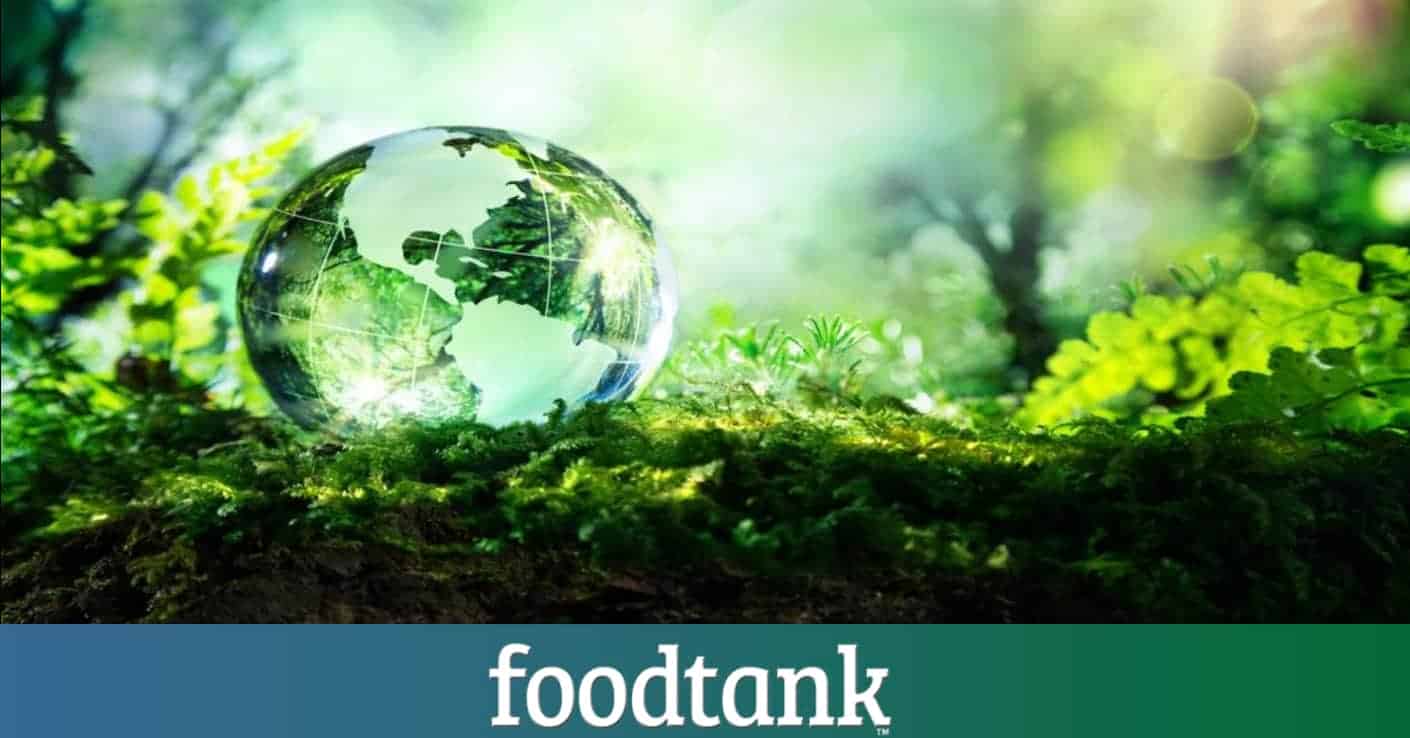 here is enough food to feed everyone in the world and yet millions go hungry while others suffer from obesity. Nourished Planet explores realistic solutions for addressing this paradox.