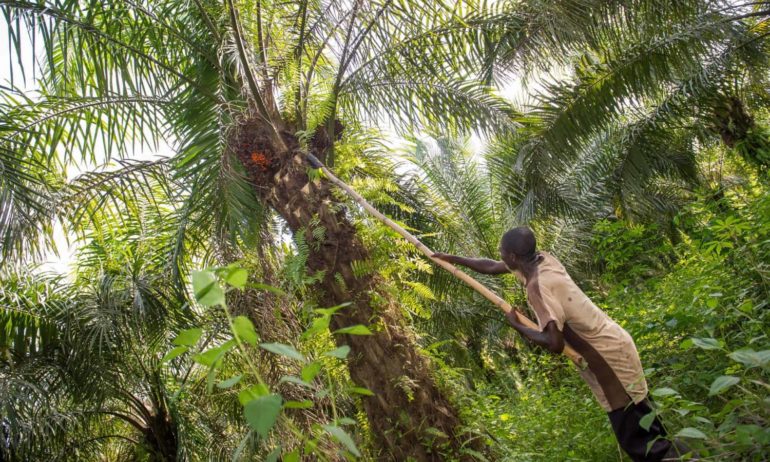 This is the Story of a Soap Company that is Changing the World – Food Tank