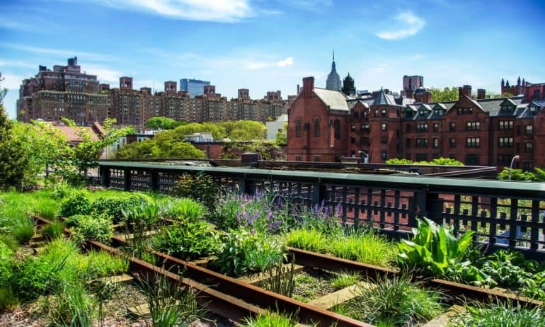 Edible perennials make parks and backyards more beautiful, ecologically resilient, and productive. These 15 organizations are creating edible landscapes around the world.