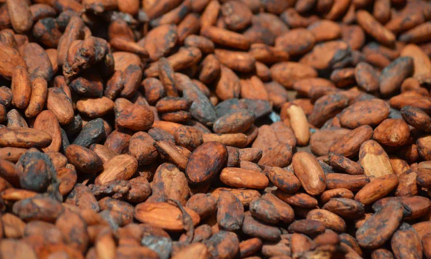 A labor of love: Ghanaian chocolate companies are molding Ghana’s cocoa industry.