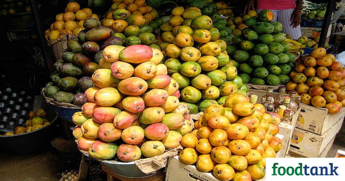 Mango growers gain access to an integrated pest management package to fight against their greatest enemy: the fruit fly