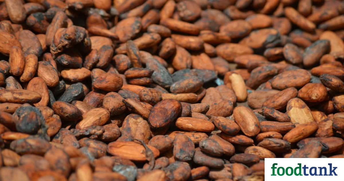 A labor of love: Ghanaian chocolate companies are molding Ghana’s cocoa industry.