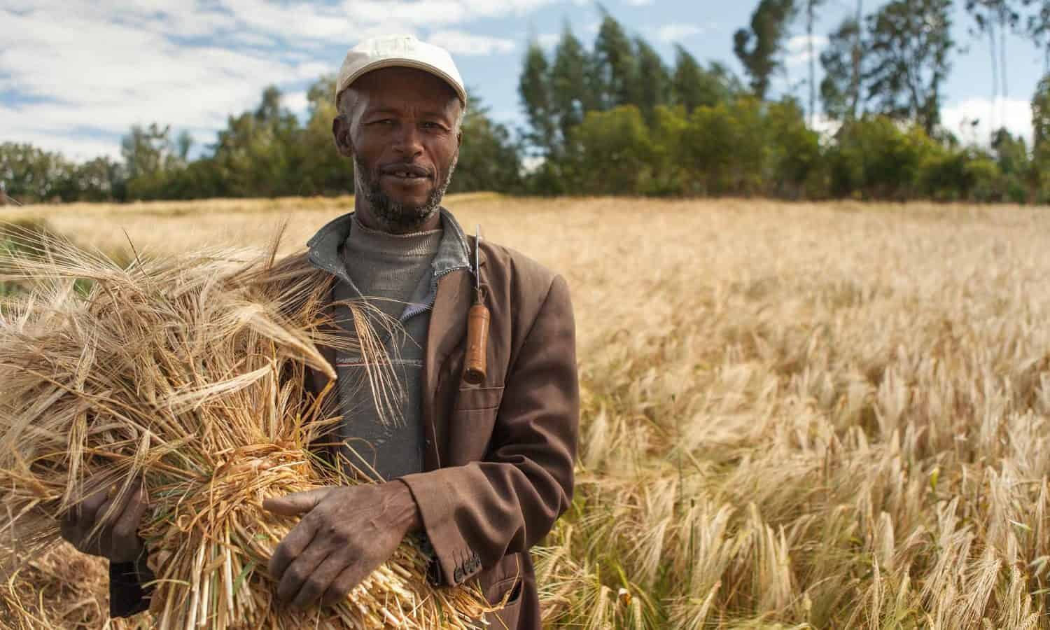 Dr. Martin Kropff discusses how CGIAR is using Big Data to create more visible impact of agricultural research.