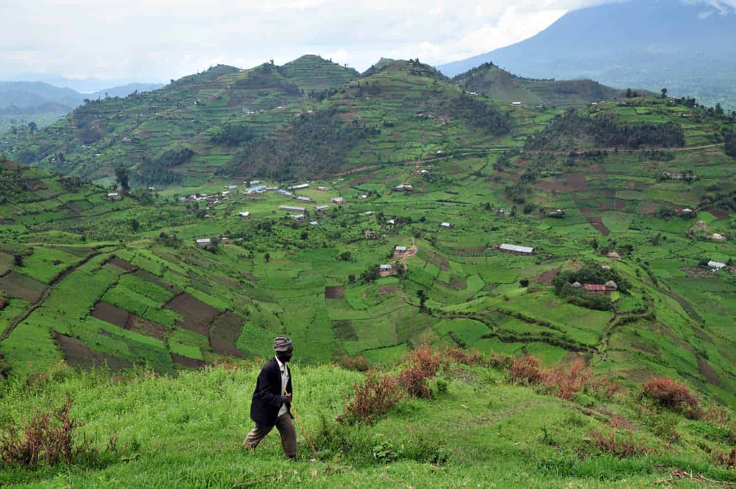 Strategic foresight modeling is making the effects of climate change more predictable, reducing risk for smallholder farmers.