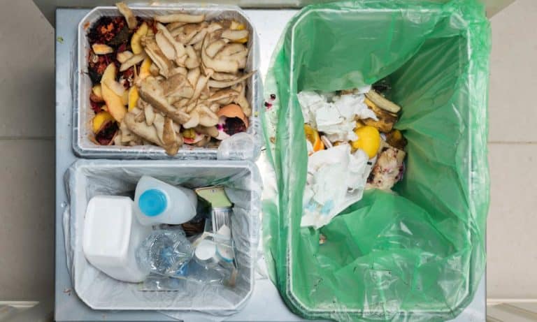 27 Organizations in New York City Combating Food Waste – Food Tank