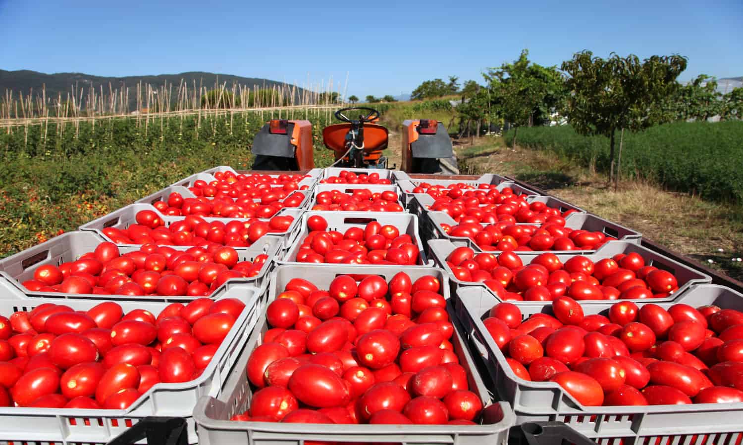 New framework helps people of diverse backgrounds communicate by providing a common language in the agriculture system