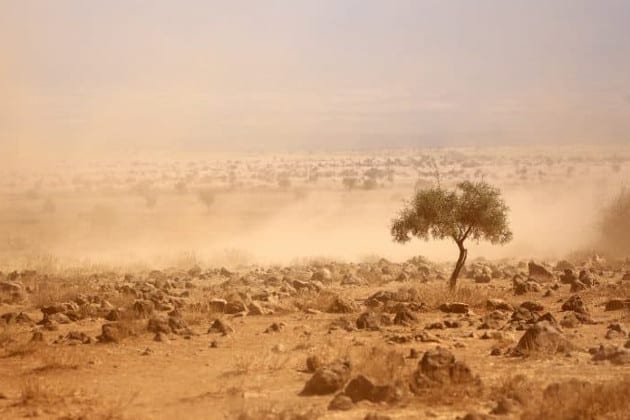 famine