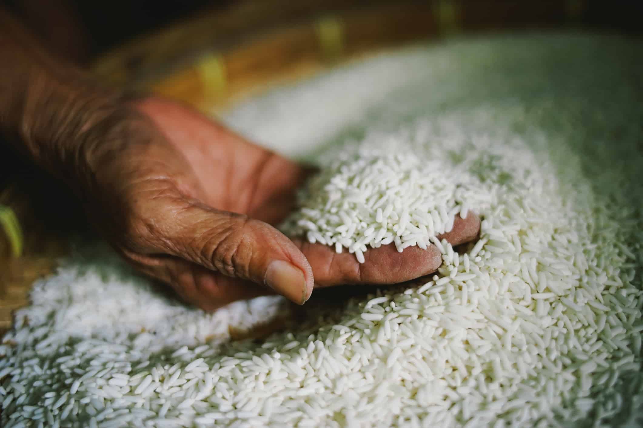 Рис держит воду. Индийский рис. Рис производители. Indian Basmati Rice. Рис басмати Индия реклама.