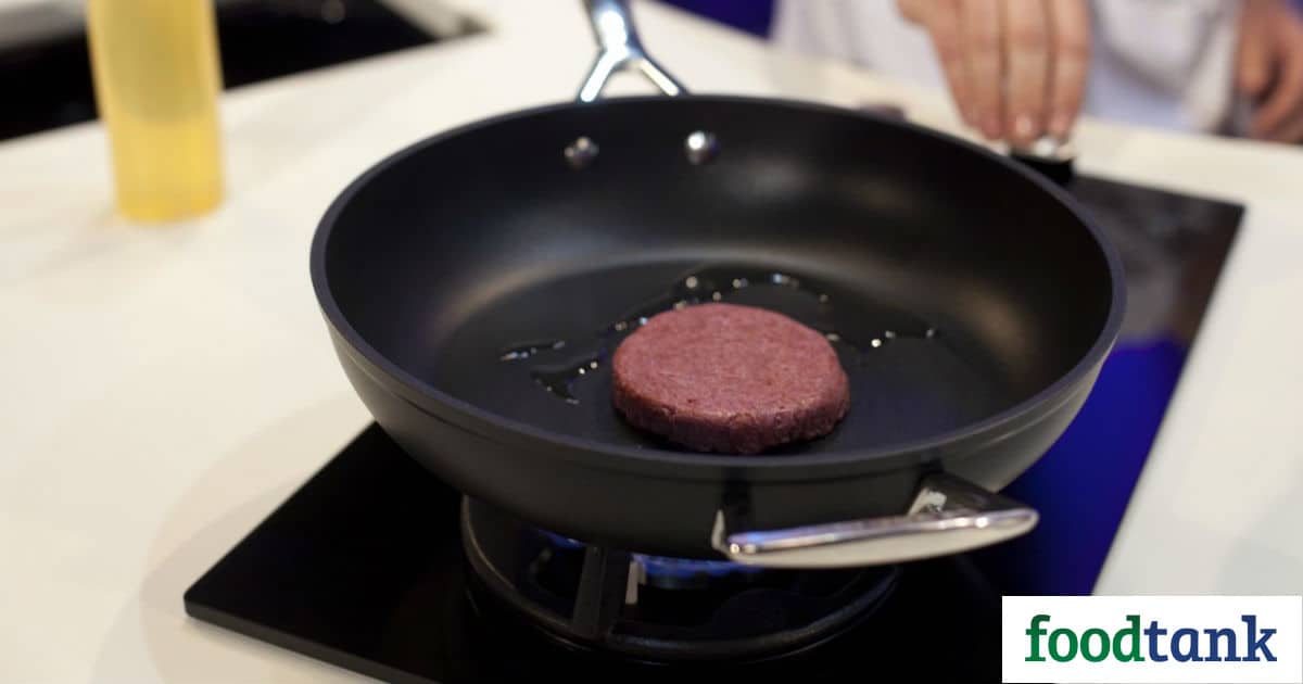 Dutch startup Mosa Meat, which produced the first slaughter-free hamburger, received funding to make clean meat affordable by 2021.