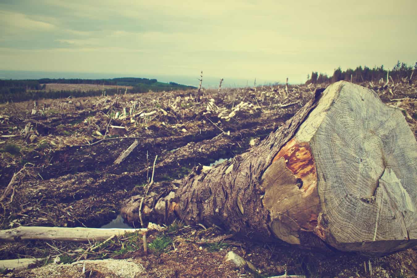 water habitat destruction