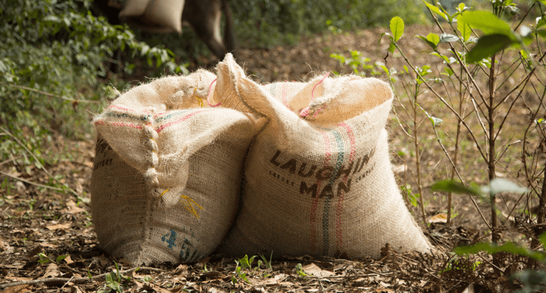 Hugh Jackman spreads happiness through sustainable, fair trade coffee