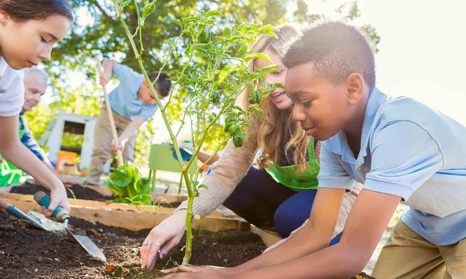 Food Tank’s assembled list includes children’s books that provoke deep thought about the status of the food system.