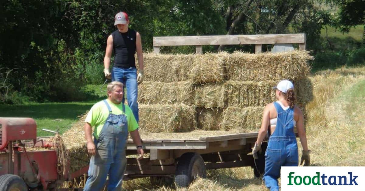 An Iowa family converted the farmland their great-grandfather once owned, beginning a new tradition of sustainable practices.