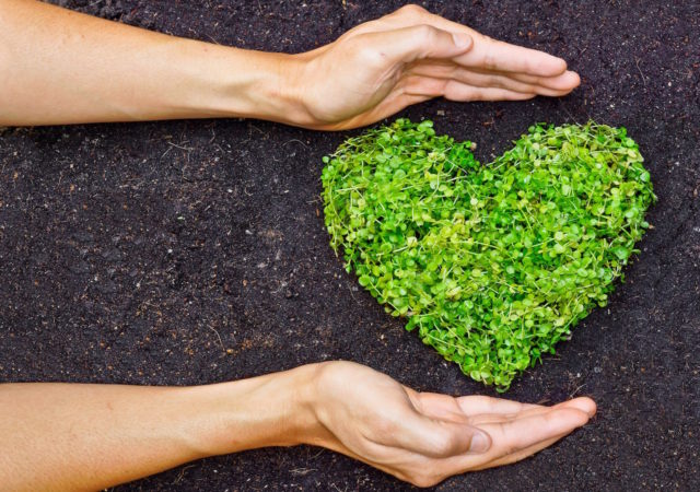 Celebrate Valentine’s Day with lots of love and without the waste of plastic wrapped gifts. Food Tank lists activities that replace the waste!