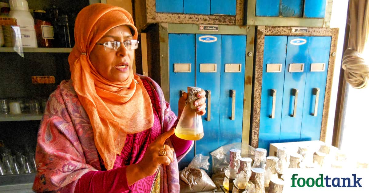 From Nepal, to Kenya, and to the United States, women working in integrated pest management are celebrating science—and themselves.