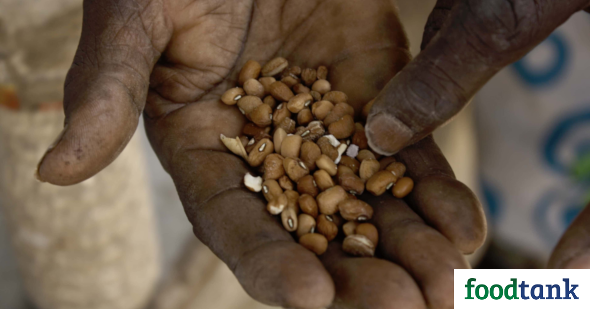 In West Africa, small farms make a big impact with their seeds.