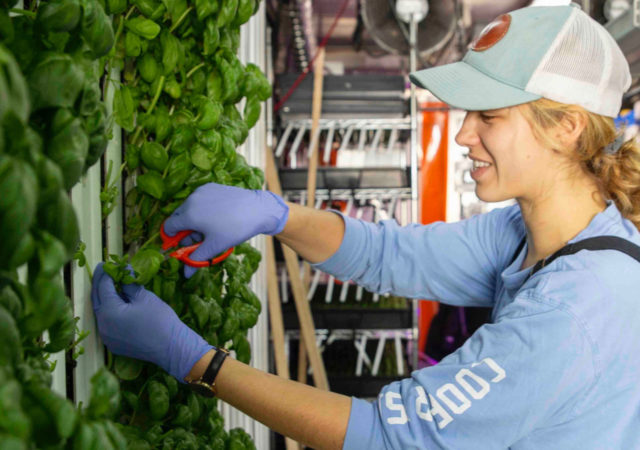 Much of the time the food we buy has racked up quite a few miles on the foodometer before it reaches our plates. Enter Square Roots and Gordon Food Service, whose new partnership will bring locally-grown food to customers across North America year-round.