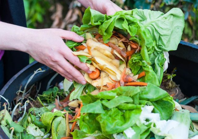 Food loss and waste are pervasive problems in global food systems, with huge consequences for human health and the environment.