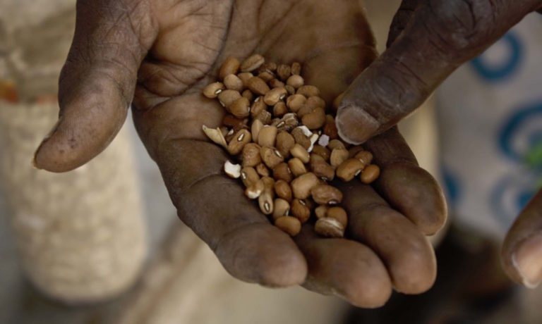 Adapting Western Africa's Seed Laws May Be Key to Enhancing Crop ...