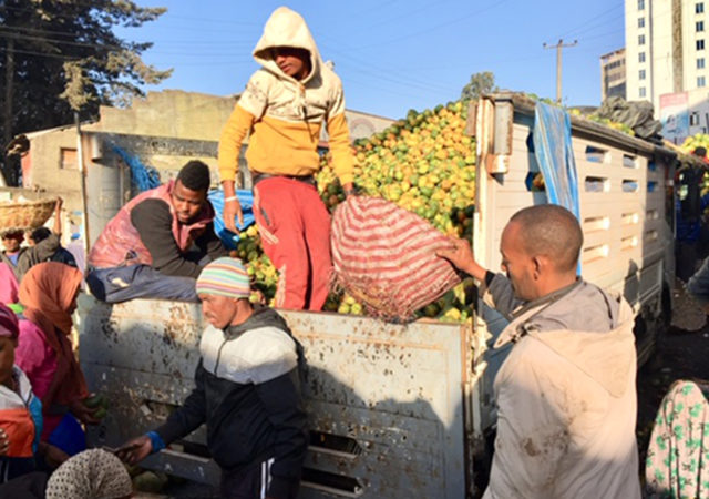 Food refrigeration in Ethiopia is mostly for exports, not feeding its own (Photograph courtesy of Peyton Fleming)