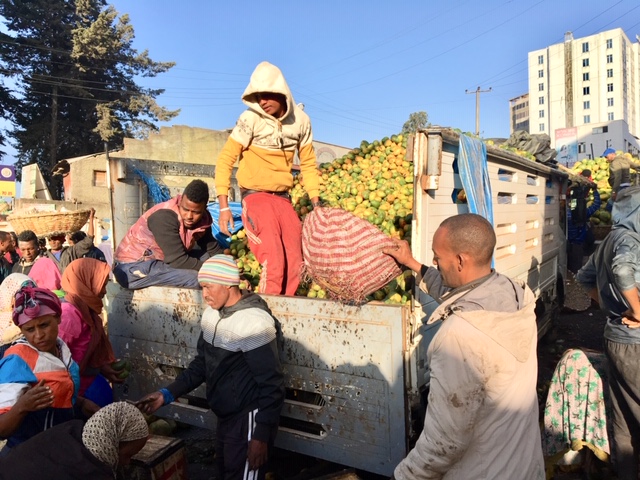 Food refrigeration in Ethiopia is mostly for exports, not feeding its own (Photograph courtesy of Peyton Fleming)