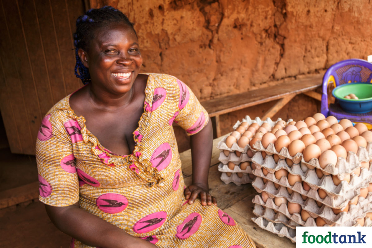 Food Tank speaks with the CEO of Heifer International about The Hatching Hope Initiative.
