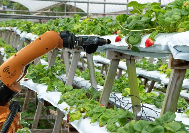 Current innovations in technology are impactful to the future of food, and can revolutionize the way we grow food over the coming years. Image Courtesy of Shutterstock Photographer Zapp2Photo