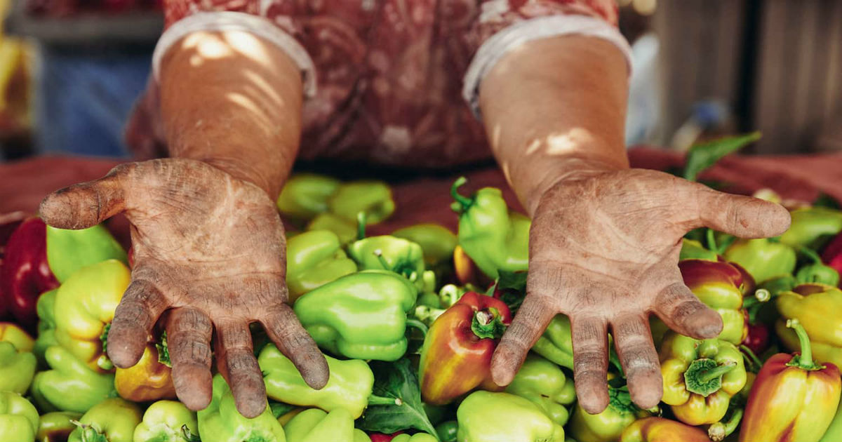 Food Tank and Mother Jones partner for a discussion to talk about whether people can truly afford to eat in the busiest areas of California.