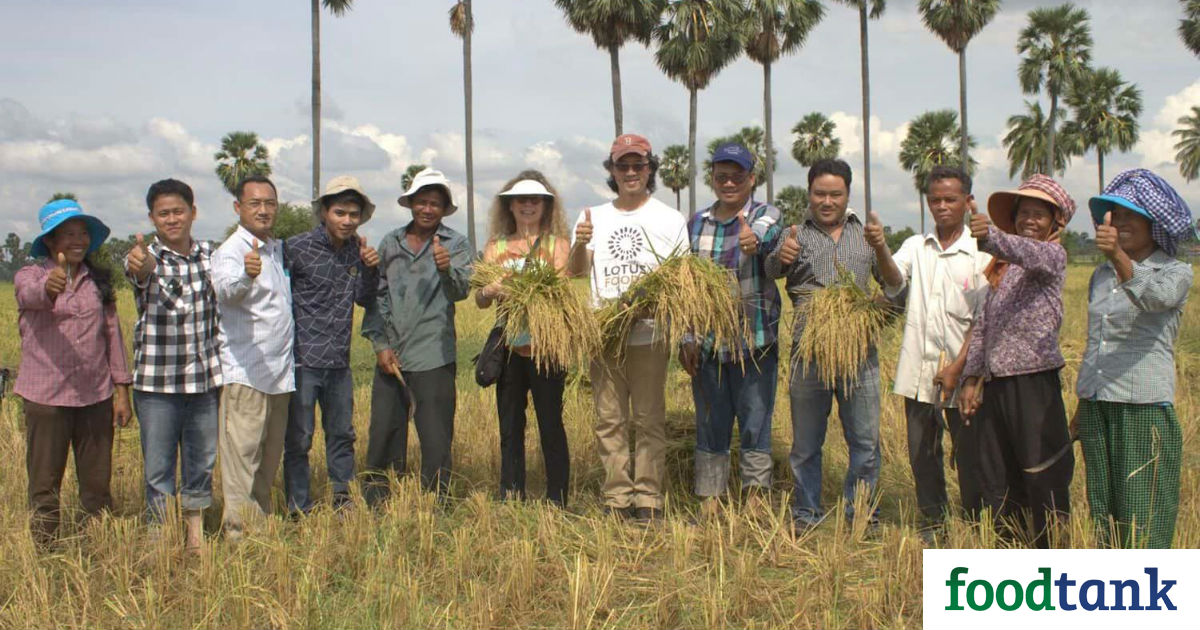 Lotus Foods is one company that is not only paying rice farmers more, but supporting their endeavors to farm smarter with Systems of Rice Intensification.