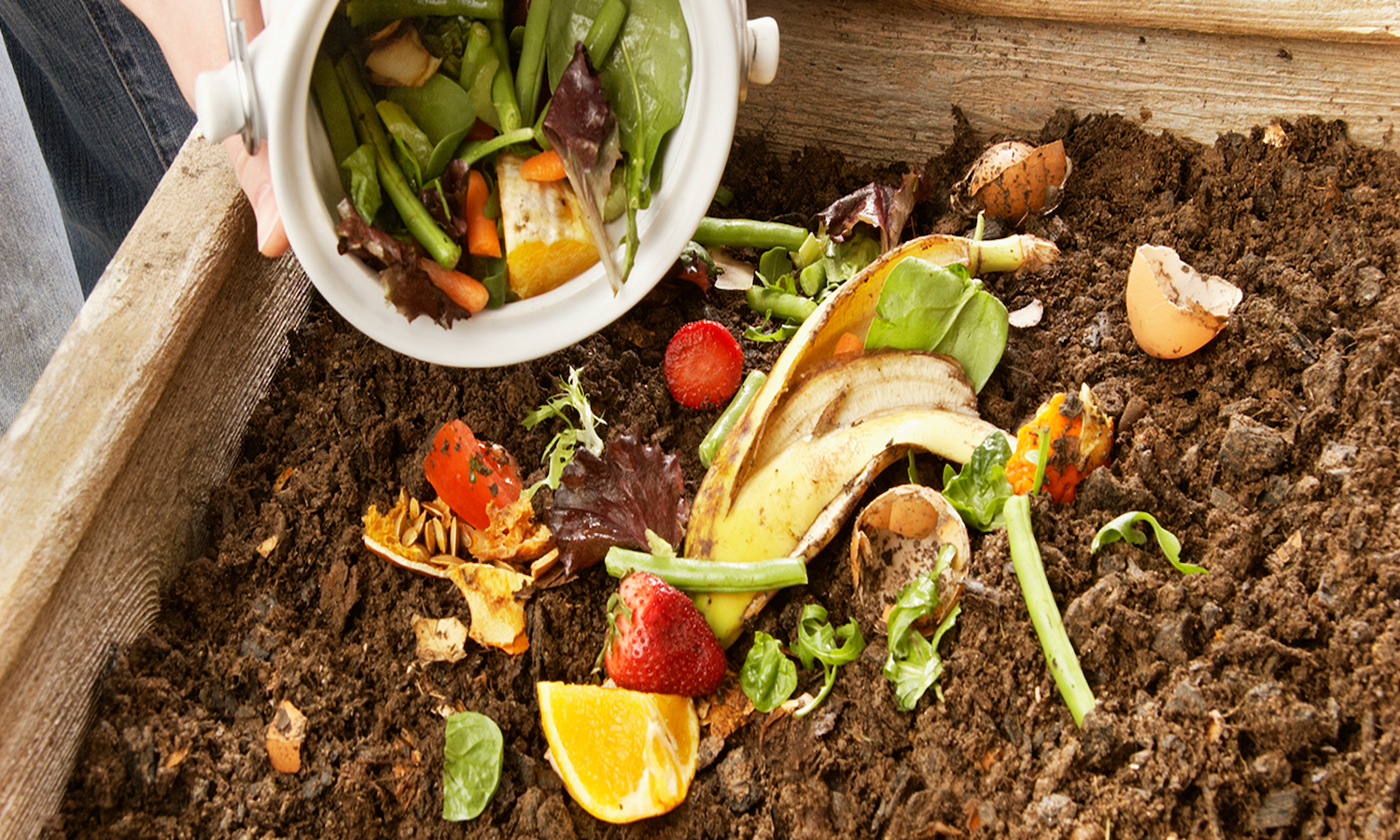 Small scale composting helps build community, improve local soil, and can save cities up to US$250,000 a year.