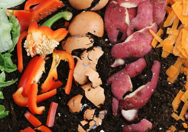 Small scale composting helps build community, improve local soil, and can save cities up to US$250,000 a year.