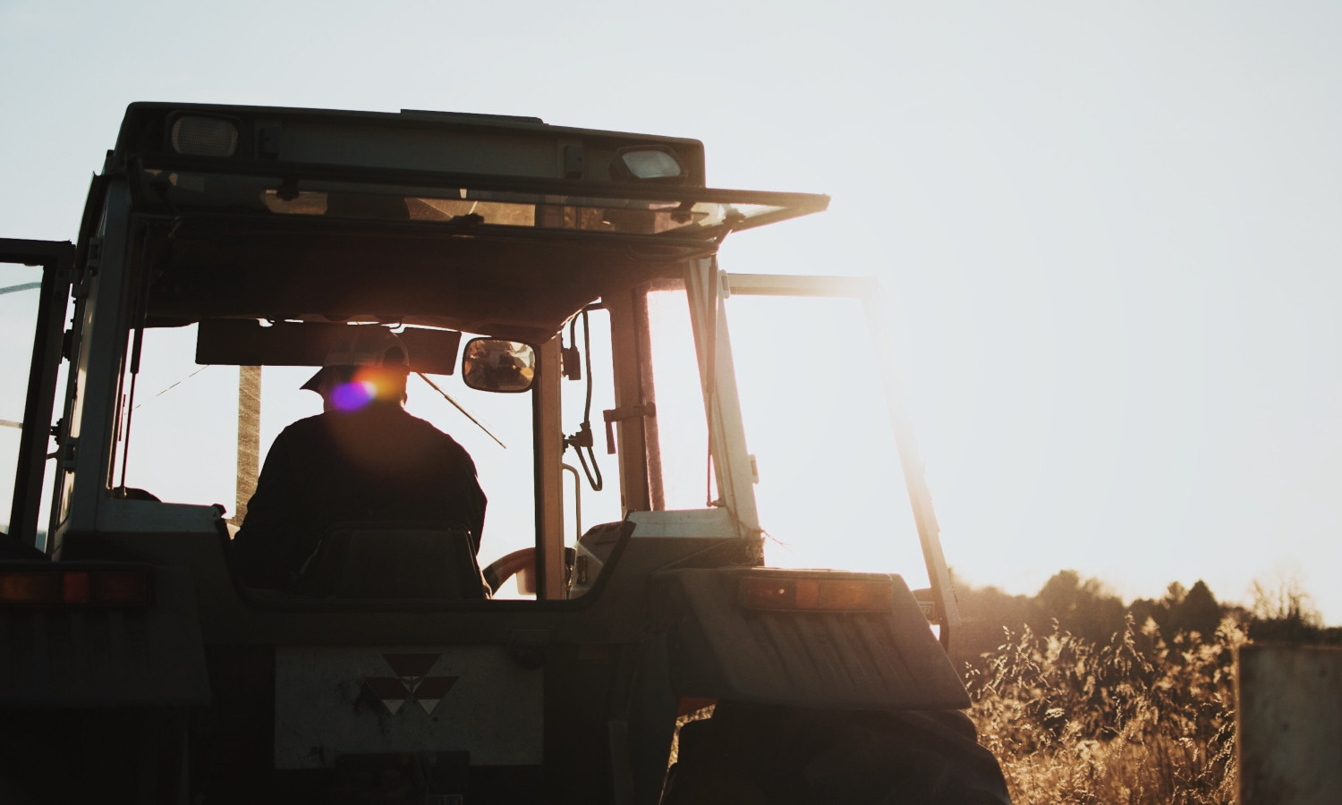 Fungicide use in agriculture is on the suspects’ list for the rise of Candida auris, a new, potential superbug.