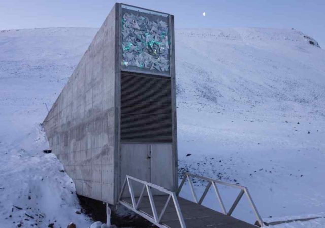 Storing nearly 1 million seeds from genebanks worldwide in a cave at -18 degrees Celsius, the Svalbard Global Seed Vault ensures that if a genebank’s seeds vanish or fall into ruin, much the world’s biodiversity will still remain helping ensure food security.