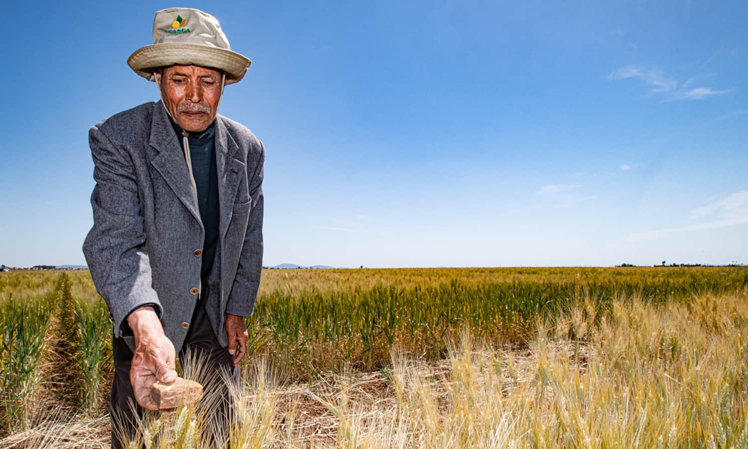 “We are working with more than 20 farmers around Morocco in a range of agro-ecological zones and will also expand some of our outputs to Senegal, Ethiopia, and Lebanon to achieve the best possible solutions for the barley, lentil, and durum wheat systems,” Filippo says.