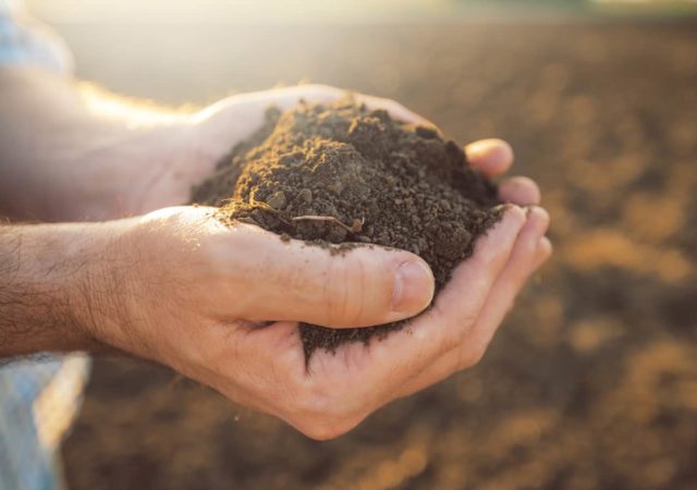 Soil carbon sequestration is becoming a topic for farmers and politicians alike—but which conversations will distinguish sustainability from trend?