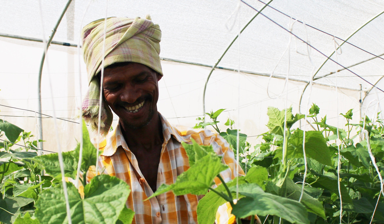 Could Kheyti’s Greenhouse Help Bring Farmers out of Poverty?