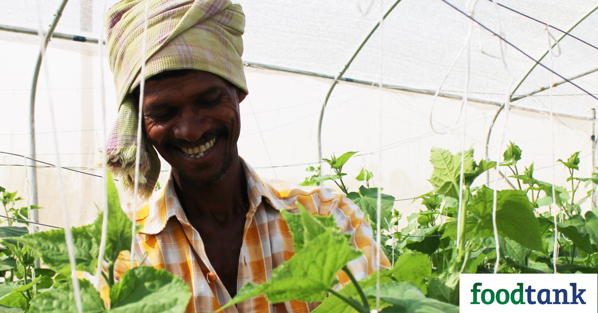 Could Kheyti’s Greenhouse Help Bring Farmers out of Poverty?