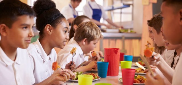 School garden programs have many benefits, from better nutrition to improved academic performance, and can boost the quality of cafeteria lunches.