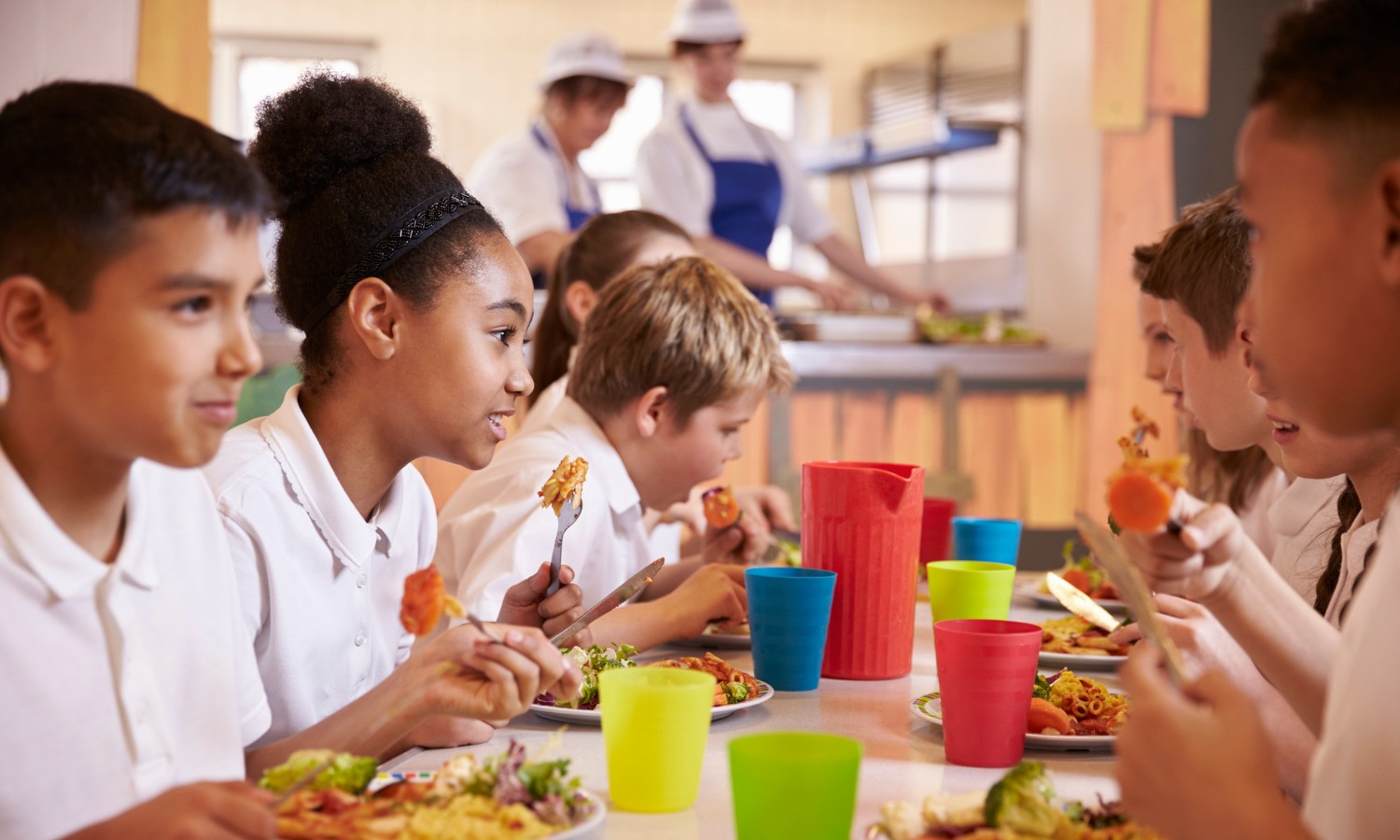 School garden programs have many benefits, from better nutrition to improved academic performance, and can boost the quality of cafeteria lunches.