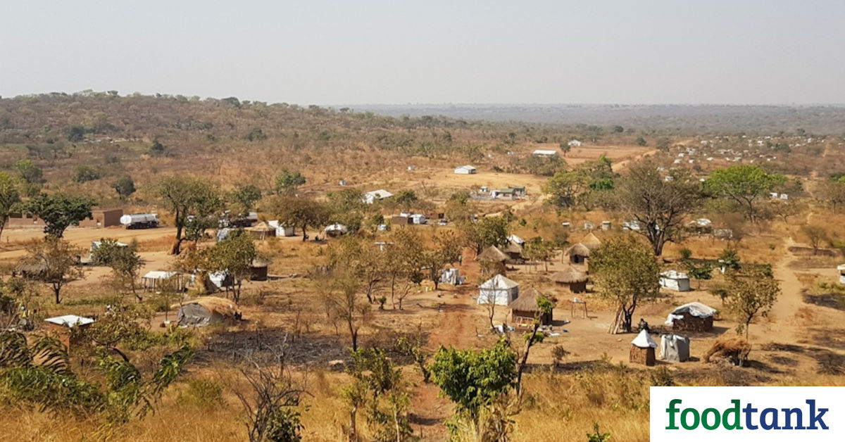 From refugees from South Sudan, trees form a significant part of their story from when they flee from political war to their arrival in settlements.