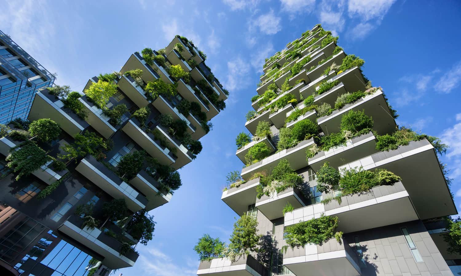 Future of vertical farming and urban agriculture