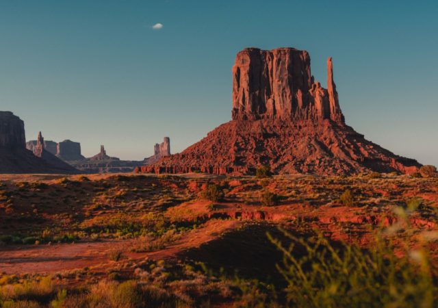 The American Southwest is a place of stunning biodiversity, which is being threatened by urbanization and habitat destruction. These organizations, many of which are rooted in indigenous communities, are working to protect and honor the region's diversity.