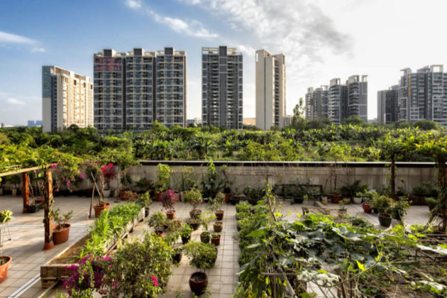 UrbanAgGreen UrbanAgGreen