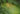 A new study by 21 researchers shows the ways agroforestry affects food security, migration, and the spread and prevalence of disease.