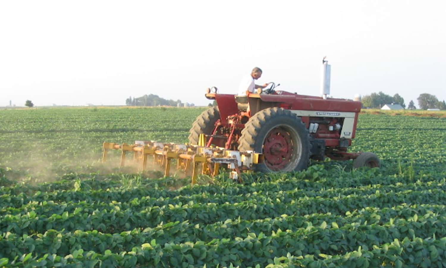 How an Iowa Family Shares its Well-Honed Organic Farming Practices – Food  Tank