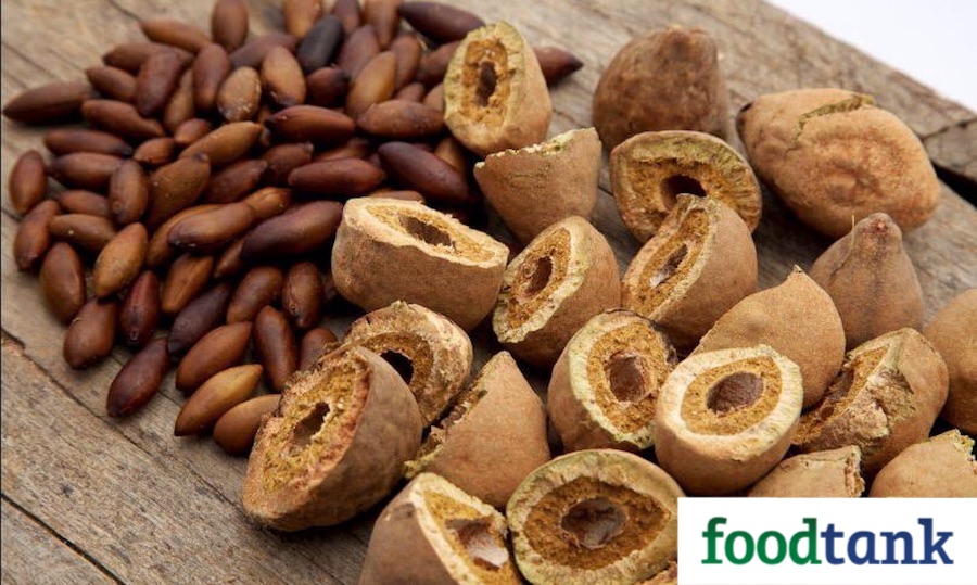 Regenature, a Brazillian health foods importer and exporter, wants to regenerate the Cerrado by popularizing the native Baru nut